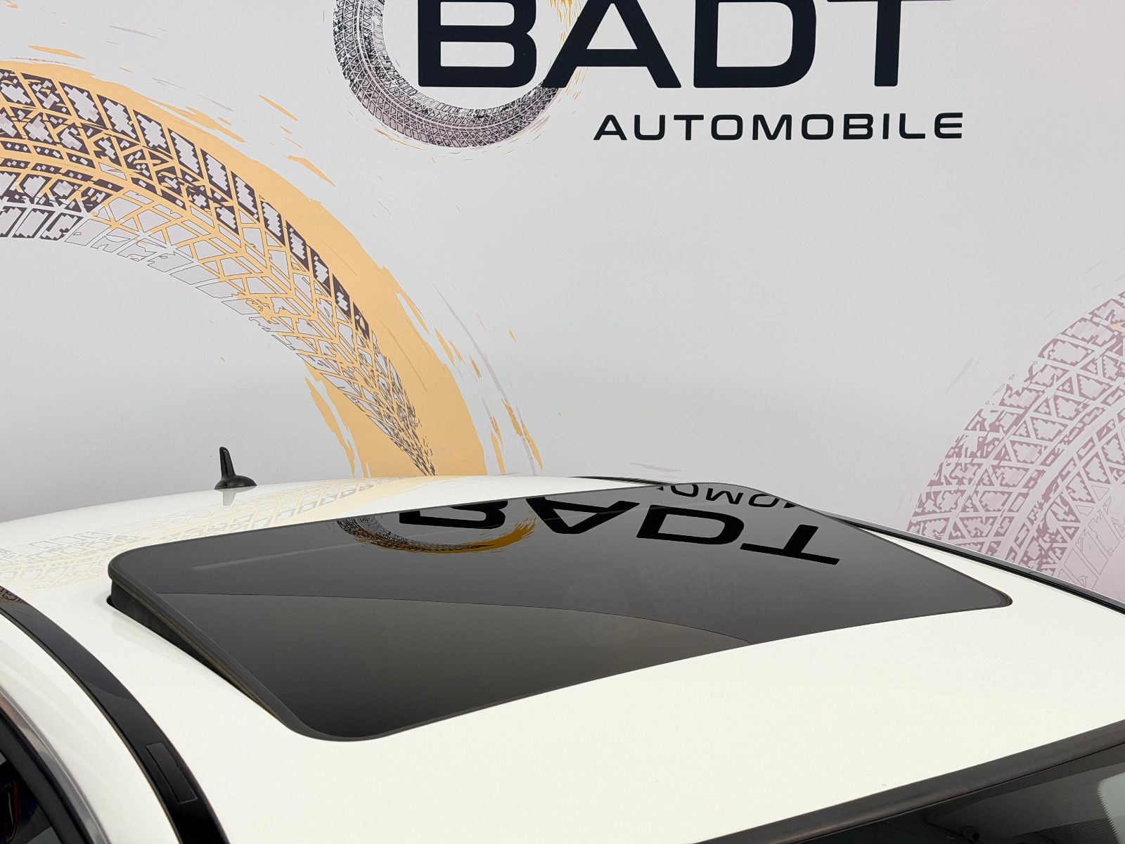 Fahrzeugabbildung Mercedes-Benz C 63 AMG Performance Package P30 Sperrdiff.